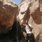 تصویر کاربر با کد 208478