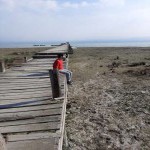 تصویر کاربر با کد 548700