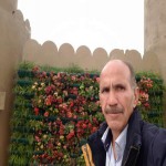 تصویر کاربر با کد 555429