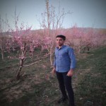 تصویر کاربر با کد 555558