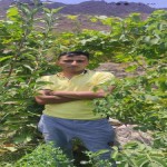 تصویر کاربر با کد 203083