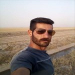 تصویر کاربر با کد 558377