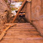 تصویر کاربر با کد 552939