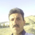 تصویر کاربر با کد 563384