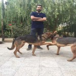 تصویر کاربر با کد 565356