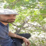 تصویر کاربر با کد 568530