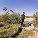 تصویر کاربر با کد 590602