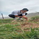 تصویر کاربر با کد 596112