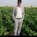 تصویر کاربر با کد 99031