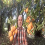 تصویر کاربر با کد 136418