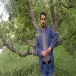 تصویر کاربر با کد 591282