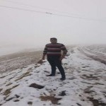 تصویر کاربر با کد 491934
