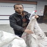 تصویر کاربر با کد 640845