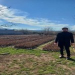 تصویر کاربر با کد 644436