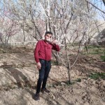 تصویر کاربر با کد 498739