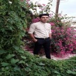 تصویر کاربر با کد 375496