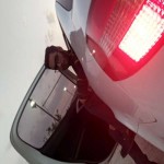 تصویر کاربر با کد 566491