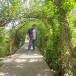 تصویر کاربر با کد 656440