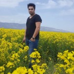 تصویر کاربر با کد 660941