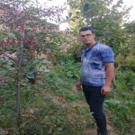 تصویر کاربر با کد 641886