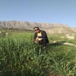تصویر کاربر با کد 668233