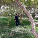 تصویر کاربر با کد 508811
