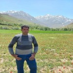 تصویر کاربر با کد 689910