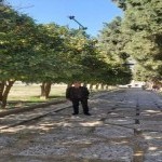 تصویر کاربر با کد 693855