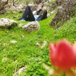 تصویر کاربر با کد 678258