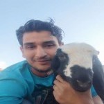 تصویر کاربر با کد 704445