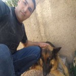 تصویر کاربر با کد 31382
