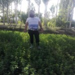تصویر کاربر با کد 684597