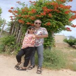 تصویر کاربر با کد 706350