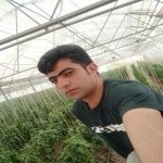 تصویر کاربر با کد 706831