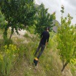تصویر کاربر با کد 400614