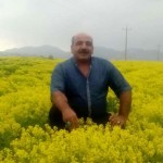تصویر کاربر با کد 504925