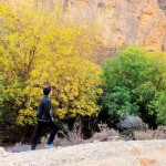 تصویر کاربر با کد 719306