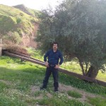 تصویر کاربر با کد 706916