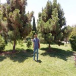 تصویر کاربر با کد 315545