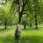 تصویر کاربر با کد 384211