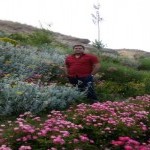 تصویر کاربر با کد 392633