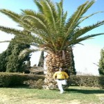 تصویر کاربر با کد 745504