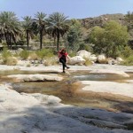 تصویر کاربر با کد 748984