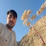 تصویر کاربر با کد 80893