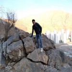 تصویر کاربر با کد 226305