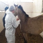 تصویر کاربر با کد 745876