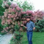تصویر کاربر با کد 764593