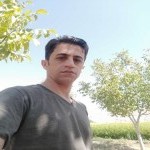 تصویر کاربر با کد 762627