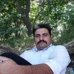 تصویر کاربر با کد 228886