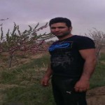 تصویر کاربر با کد 806422